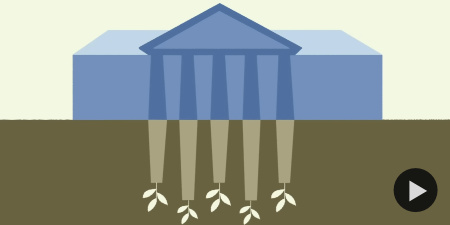 What Earth in 2050 could look like, Shannon Odell, TED-ed'