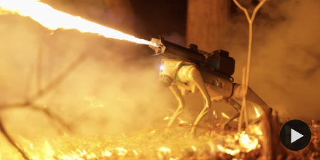 The Robot Dog With A Flamethrower, Thermonator